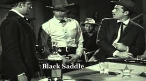 Black Saddle Black-Saddle