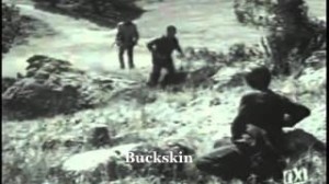 Buckskin Buckskin