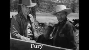 Fury Fury