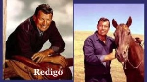 Redigo Redigo