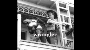 wrangler wrangler